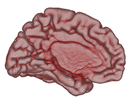 gray_left_overlay_medial_clear