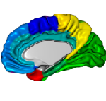 morphometric_analysis