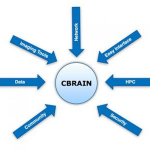 CBrain_diagram